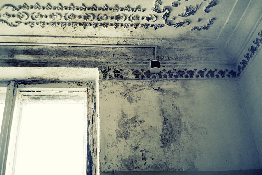 Mold growth in a home