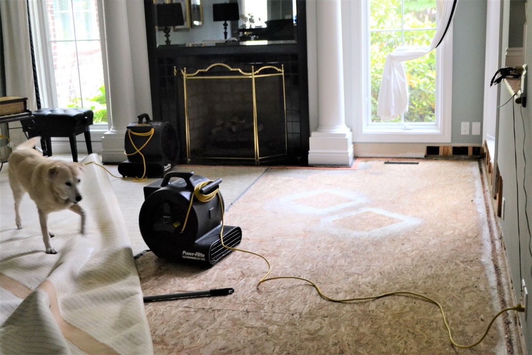 How To Dry Carpeting To Soak Up Excess Water