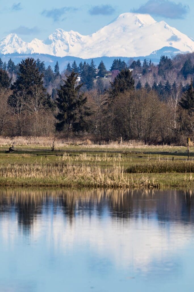 Washington State Washington State